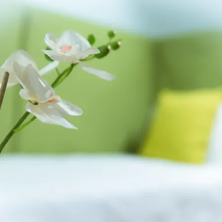 San Benedetto Отель типа 