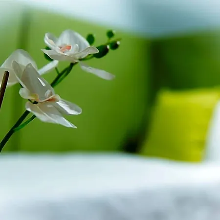 Bed & Breakfast San Benedetto Bergamo