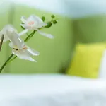 San Benedetto Bed and breakfast 3*